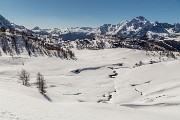 _MG_9411