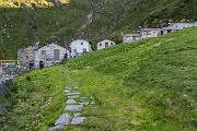 Sabato 16 Agosto 2014 – Pizzo Alto -  FOTOGALLERY