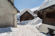 IMG_0181