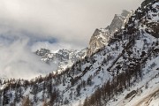 IMG_0011
