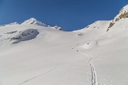 IMG_3390