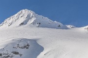 IMG_3393