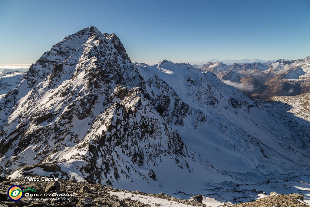 _MG_1713.JPG