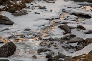 _MG_1823