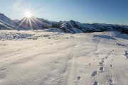 _MG_2716