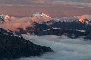_MG_2796