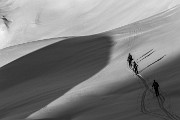 _MG_8445
