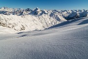 _MG_8543