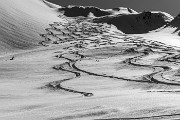 _MG_8600