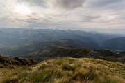 _MG_4117