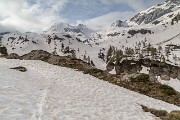 IMG_6822