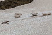 IMG_6837