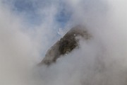 IMG_6869