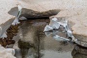 IMG_6929