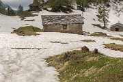IMG_6935