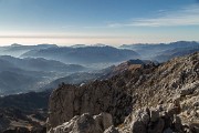 _MG_2395