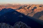 _MG_2519