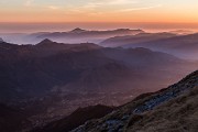 _MG_2537