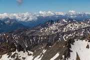 _MG_3488