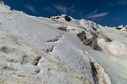 _MG_3530
