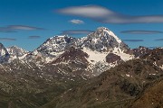 _MG_3542