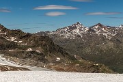 _MG_3545