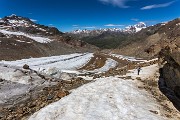 _MG_3554