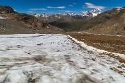 _MG_3560