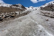 _MG_3566