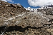 _MG_3575