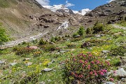 _MG_3611