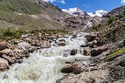 _MG_3614