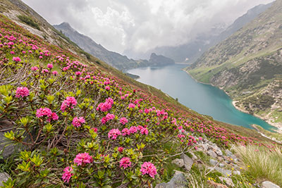 P.zi Recastello (2886 m) canale nord, Tre Confini (2824 m), m.te Gleno (2882 m)  - FOTOGALLERY