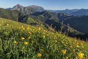 _MG_1225