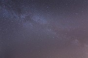 IMG_1993