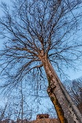 _MG_4884