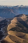 _MG_4915