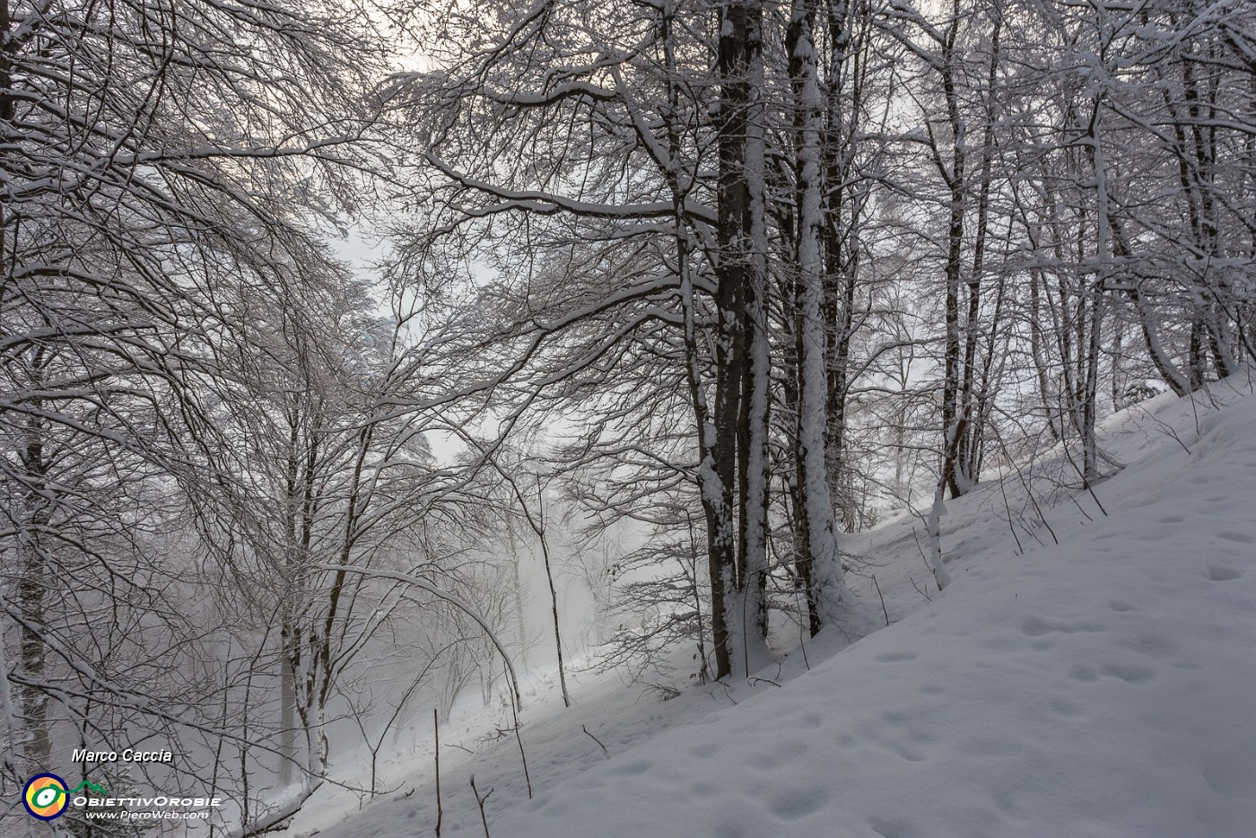 _MG_6226.JPG