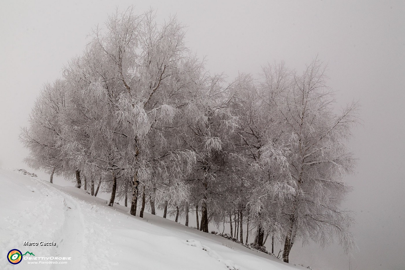 _MG_6238.JPG