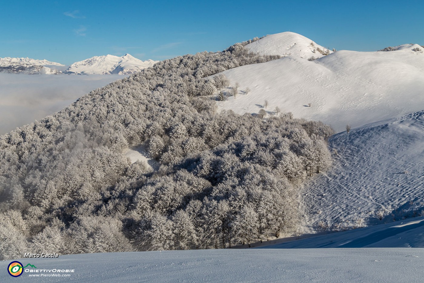 _MG_6363.JPG