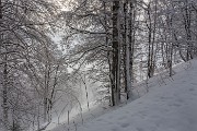 Sabato 07 Febbraio 2015 – Resegone ski-alp - FOTOGALLERY