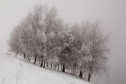 Sabato 07 Febbraio 2015 – Resegone ski-alp - FOTOGALLERY