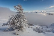 Sabato 07 Febbraio 2015 – Resegone ski-alp - FOTOGALLERY