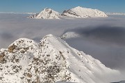_MG_6288