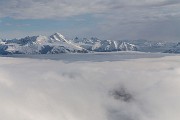 _MG_6294