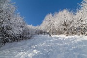 Sabato 07 Febbraio 2015 – Resegone ski-alp - FOTOGALLERY