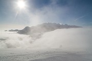 _MG_6333