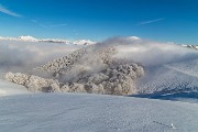 _MG_6339