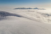 _MG_6342