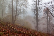 Sabato 02 novembre 2013 – M.te Resegone dalle cresta Sud - FOTOGALLERY